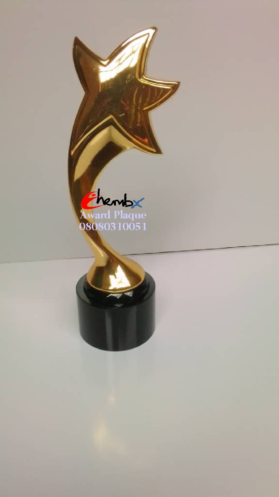 High-quality oval-shaped crystal trophy with branded design delivered in Ghana