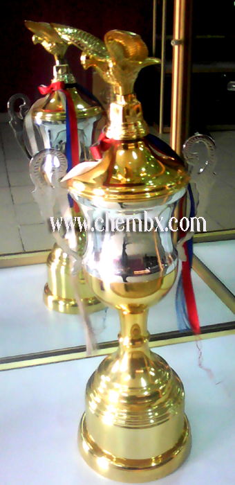 trophy-sample-in-portharcourt-abuja-lagos-nigeria-west-africa