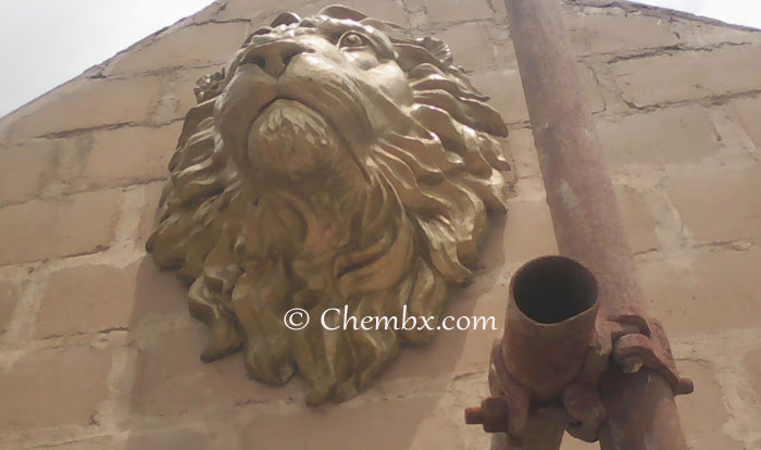 Professional Lion Head Clay Sculpture Molding and Fiberglass Casting by Chembx in Lagos, Nigeria. Custom lion sculptures, architectural ornaments and artistic commissions with delivery to all cities across Nigeria.